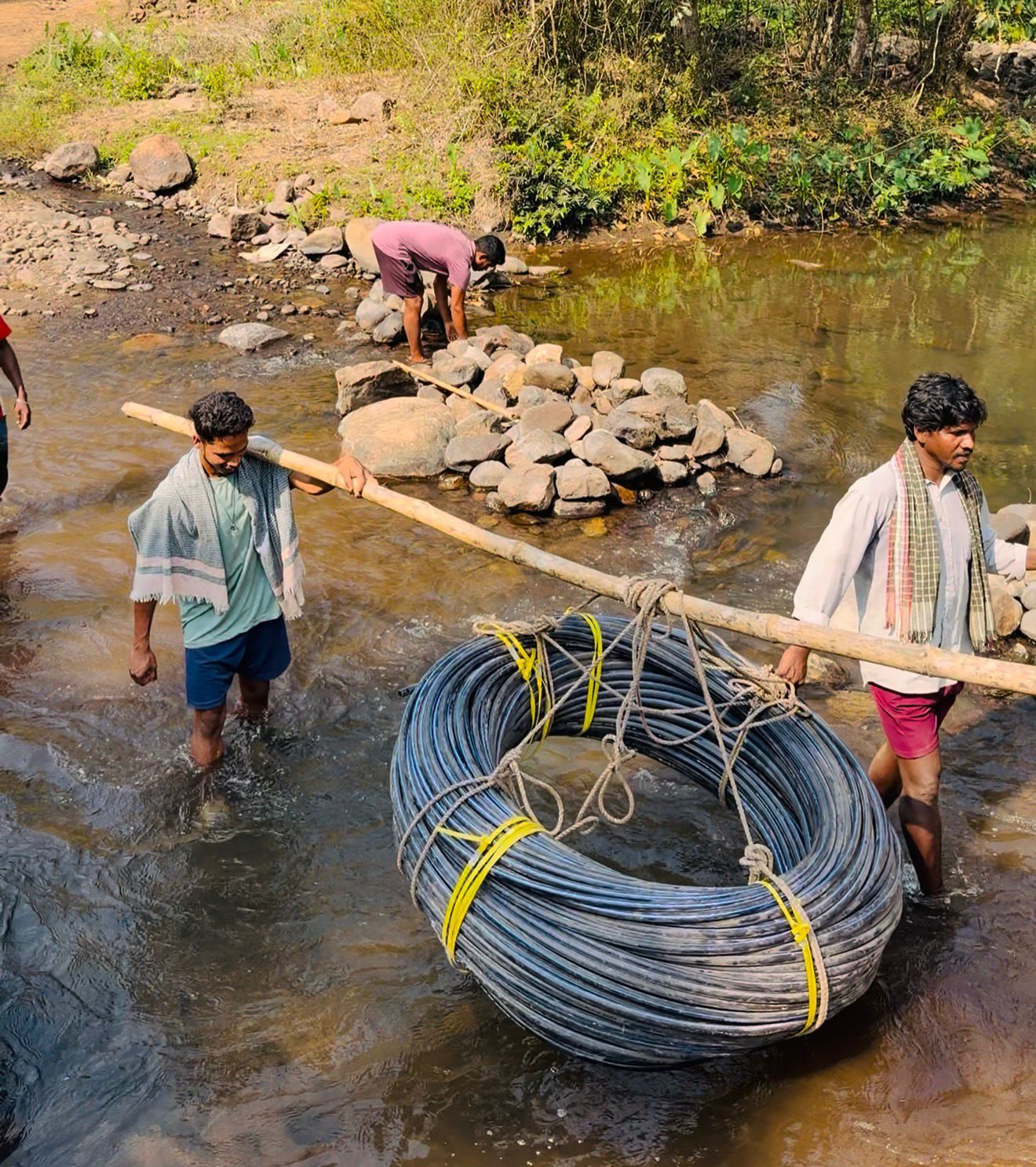 Village Adoption Activity 4