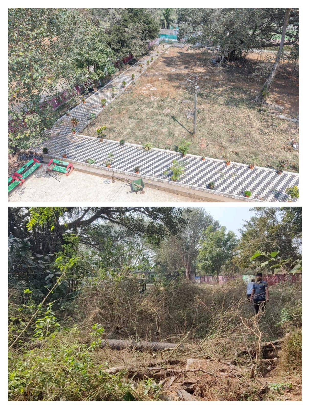 Village Adoption Activity 6